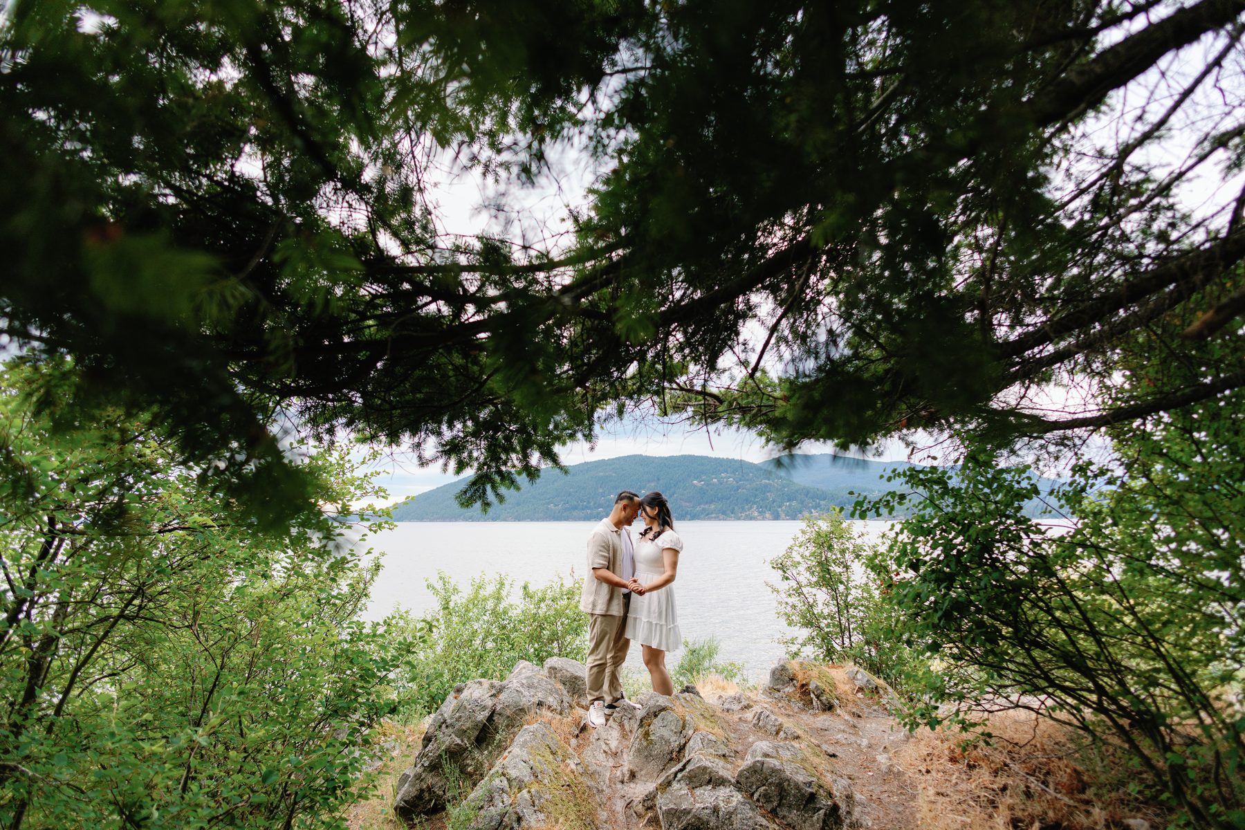 Couple framed by overhanging cedar branches on a coastal bluff
