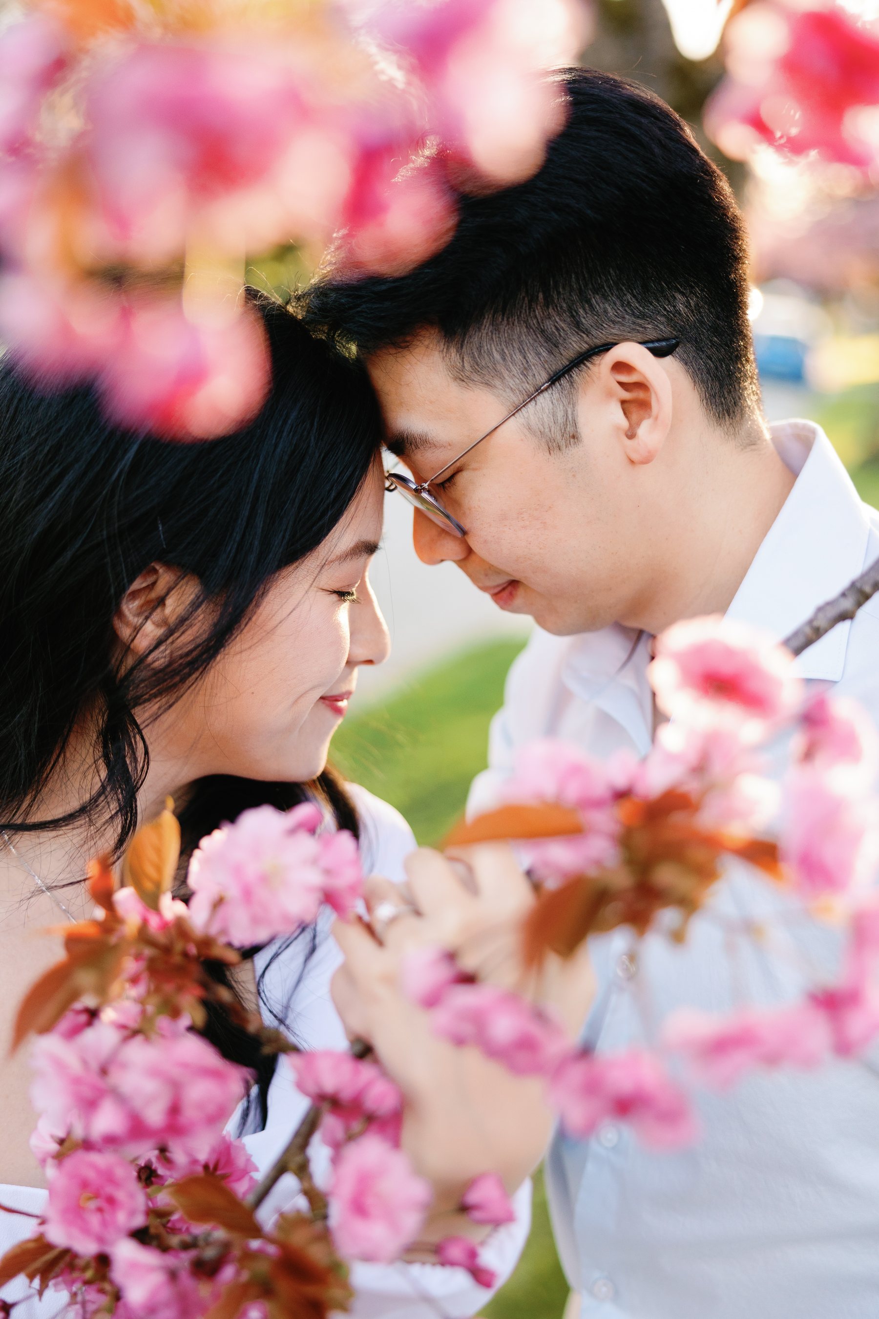 Under the cherry blossom in spring